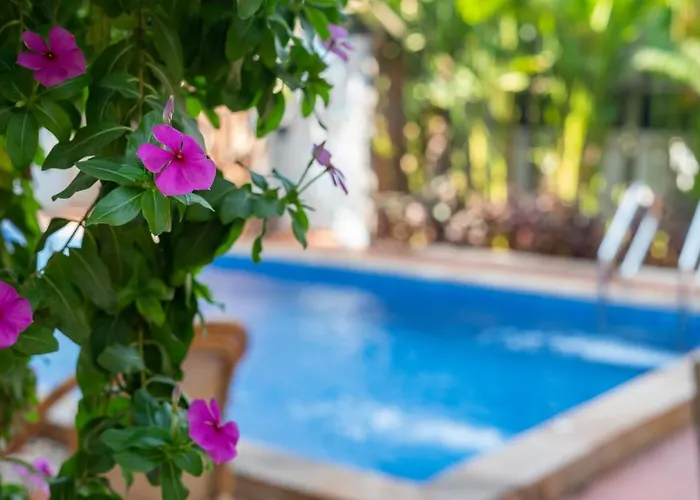 Moni Angkor Villa